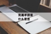 完美手游是什么意思