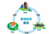 广州网络营销公司,专业解决方案助力企业成长-策略与选择指南