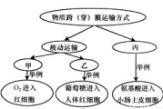 《女儿们的秘密》第二季：家庭情感纠葛与自我成长-深度剧情解析