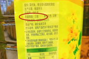 陈老师泻油瘦身汤，传统中医瘦身良方-功效与使用方法解析