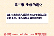 探索生命的奥秘，解码此生的意义-人生哲学深度解析