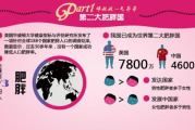 减肥瘦身菜书籍推荐-健康饮食解决方案解析
