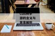 CODM手游的含义与背景解析