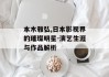本木雅弘,日本影视界的璀璨明星-演艺生涯与作品解析