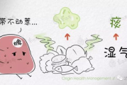 痰湿体质瘦身指南-中医调养与饮食运动策略