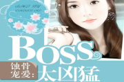 蚀骨宠爱boss太凶猛,现代言情小说的情感魅力解析