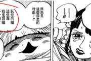 海贼王漫画105话剧情深度解析与未来走向预测