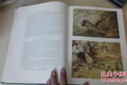 孤篇盖全唐，探寻诗歌巅峰之作的奥秘