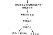 溶血性贫血,治疗可能性与预后分析-疾病根治路径探讨