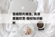 张庭照片精选, 高清原图欣赏-版权知识解析
