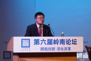 教授角色与职责解析-优秀教授必备素质与实践指南