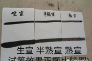 杨柳中医瘦身贴效果评估与使用指南