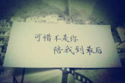 《可惜不是你》歌词深度解析-情感表达的精髓