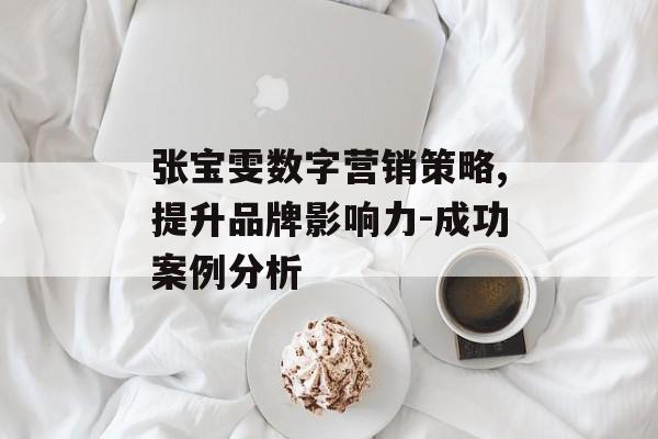 张宝雯数字营销策略,提升品牌影响力-成功案例分析