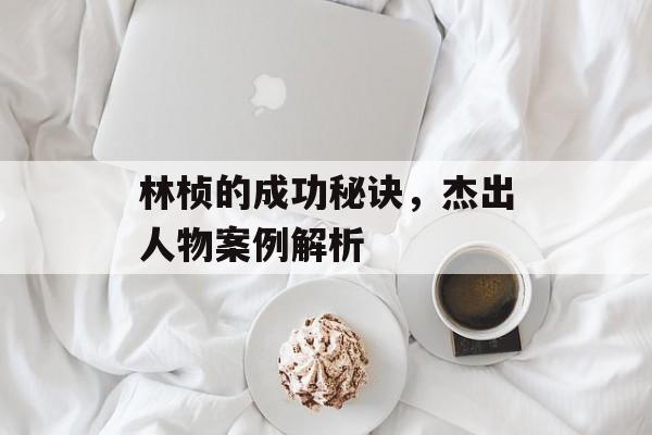 林桢的成功秘诀,杰出人物案例解析 林桢的成功秘诀,杰出人物案例解析