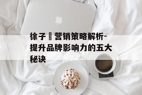 徐子瑄营销策略解析-提升品牌影响力的五大秘诀
