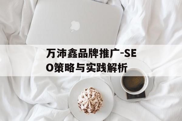 万沛鑫品牌推广-SEO策略与实践解析 万沛鑫品牌推广-SEO策略与实践解析