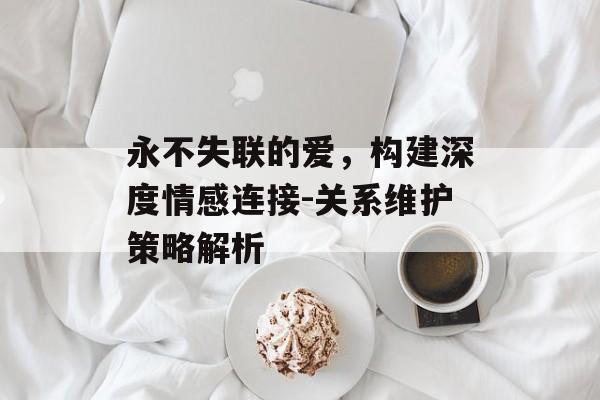永不失联的爱,构建深度情感连接-关系维护策略解析 永不失联的爱,构建深度情感连接-关系维护策略解析