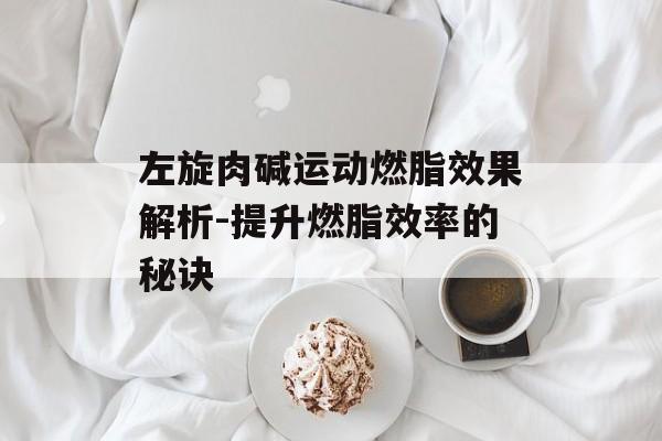 左旋肉碱运动燃脂效果解析-提升燃脂效率的秘诀