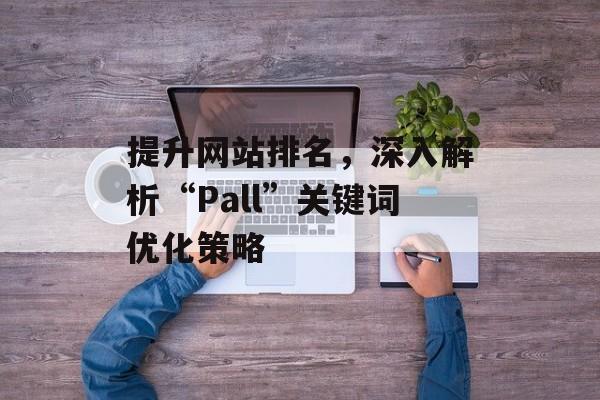 提升网站排名，深入解析“Pall”关键词优化策略