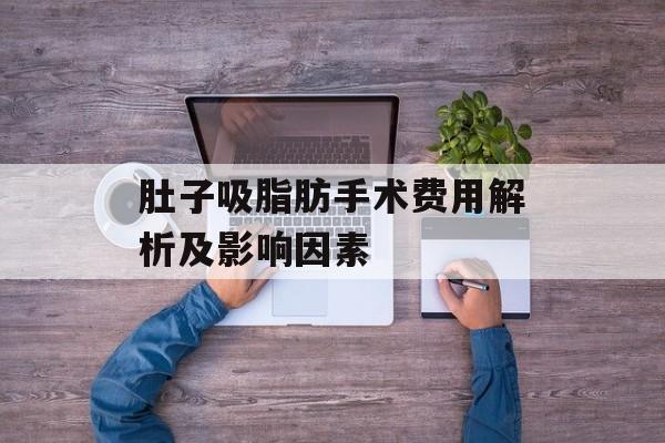 肚子吸脂肪手术费用解析及影响因素 肚子吸脂肪手术费用解析及影响因素