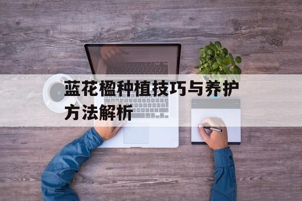蓝花楹种植技巧与养护方法解析 蓝花楹种植技巧与养护方法解析