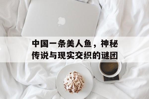 中国一条美人鱼,神秘传说与现实交织的谜团 中国一条美人鱼,神秘传说与现实交织的谜团