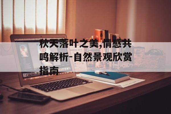 秋天落叶之美,情感共鸣解析-自然景观欣赏指南 秋天落叶之美,情感共鸣解析-自然景观欣赏指南