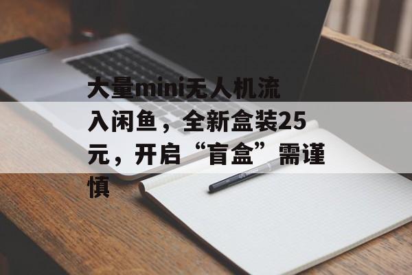 大量mini无人机流入闲鱼,全新盒装25元,开启“盲盒”需谨慎 大量mini无人机流入闲鱼,全新盒装25元,开启“盲盒”需谨慎