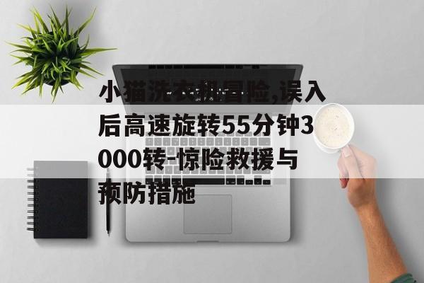 小猫洗衣机冒险,误入后高速旋转55分钟3000转-惊险救援与预防措施