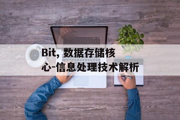 Bit, 数据存储核心-信息处理技术解析 Bit, 数据存储核心-信息处理技术解析