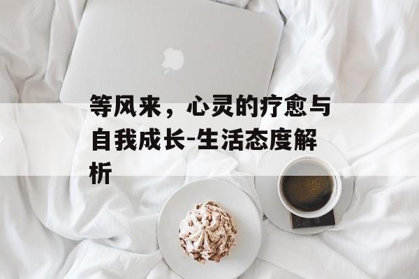 等风来,心灵的疗愈与自我成长-生活态度解析 等风来,心灵的疗愈与自我成长-生活态度解析