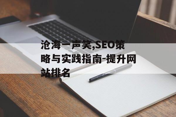 沧海一声笑,SEO策略与实践指南-提升网站排名 沧海一声笑,SEO策略与实践指南-提升网站排名