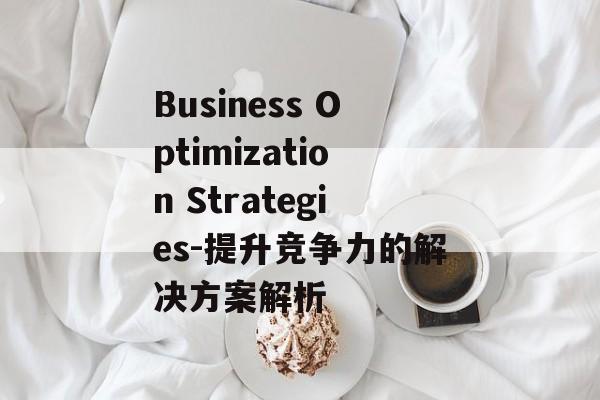 Business Optimization Strategies-提升竞争力的解决方案解析