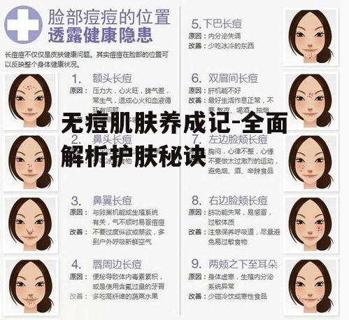 一、了解痘痘成因