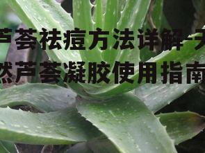 一、芦荟祛痘的原理