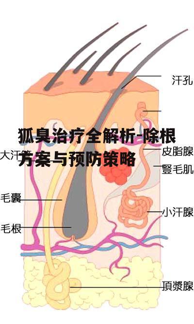 一、狐臭的成因