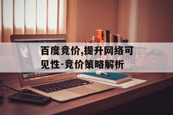 百度竞价,提升网络可见性-竞价策略解析
