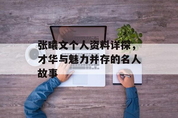 张曦文个人资料详探，才华与魅力并存的名人故事
