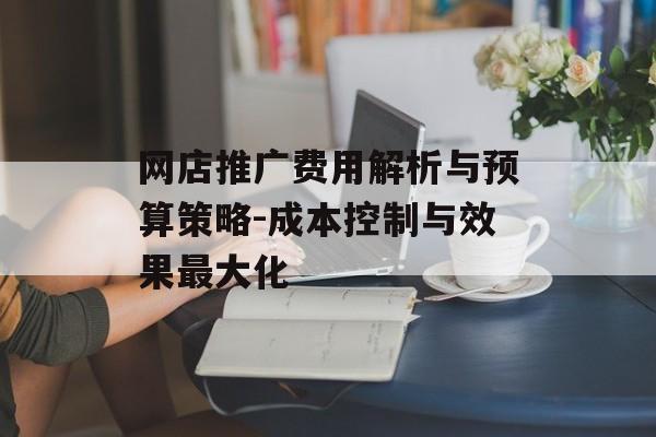 网店推广费用解析与预算策略-成本控制与效果最大化