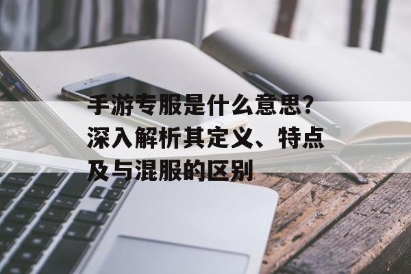 手游专服是什么意思？深入解析其定义、特点及与混服的区别