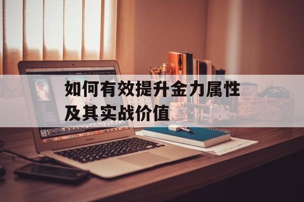 如何有效提升金力属性及其实战价值