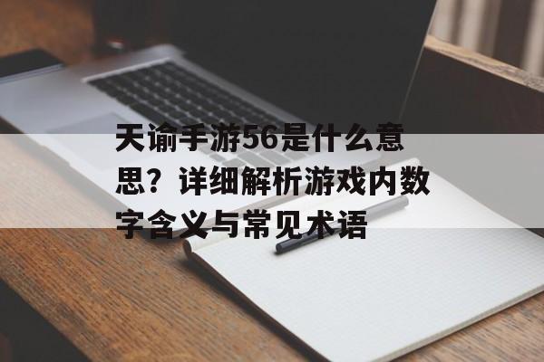 天谕手游56是什么意思？详细解析游戏内数字含义与常见术语