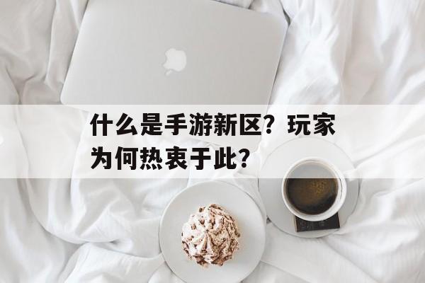 什么是手游新区？玩家为何热衷于此？