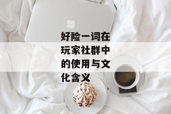 好险一词在玩家社群中的使用与文化含义