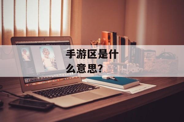 手游区是什么意思？