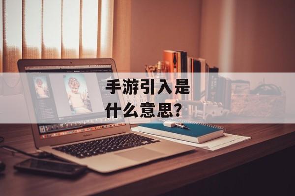 手游引入是什么意思？