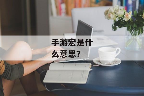 手游宏是什么意思？