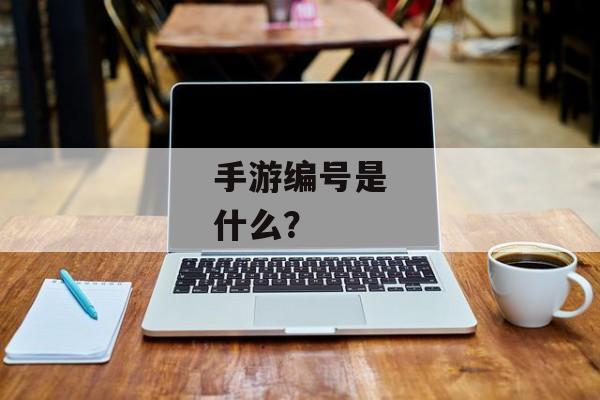 手游编号是什么？