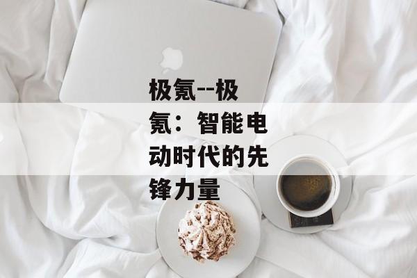 极氪--极氪：智能电动时代的先锋力量